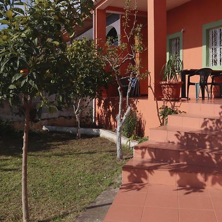 Vila 8 Kruja Kültér fotó